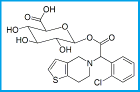 CLOPIDOGREL ACYL-β-D-GLUCURONIDE